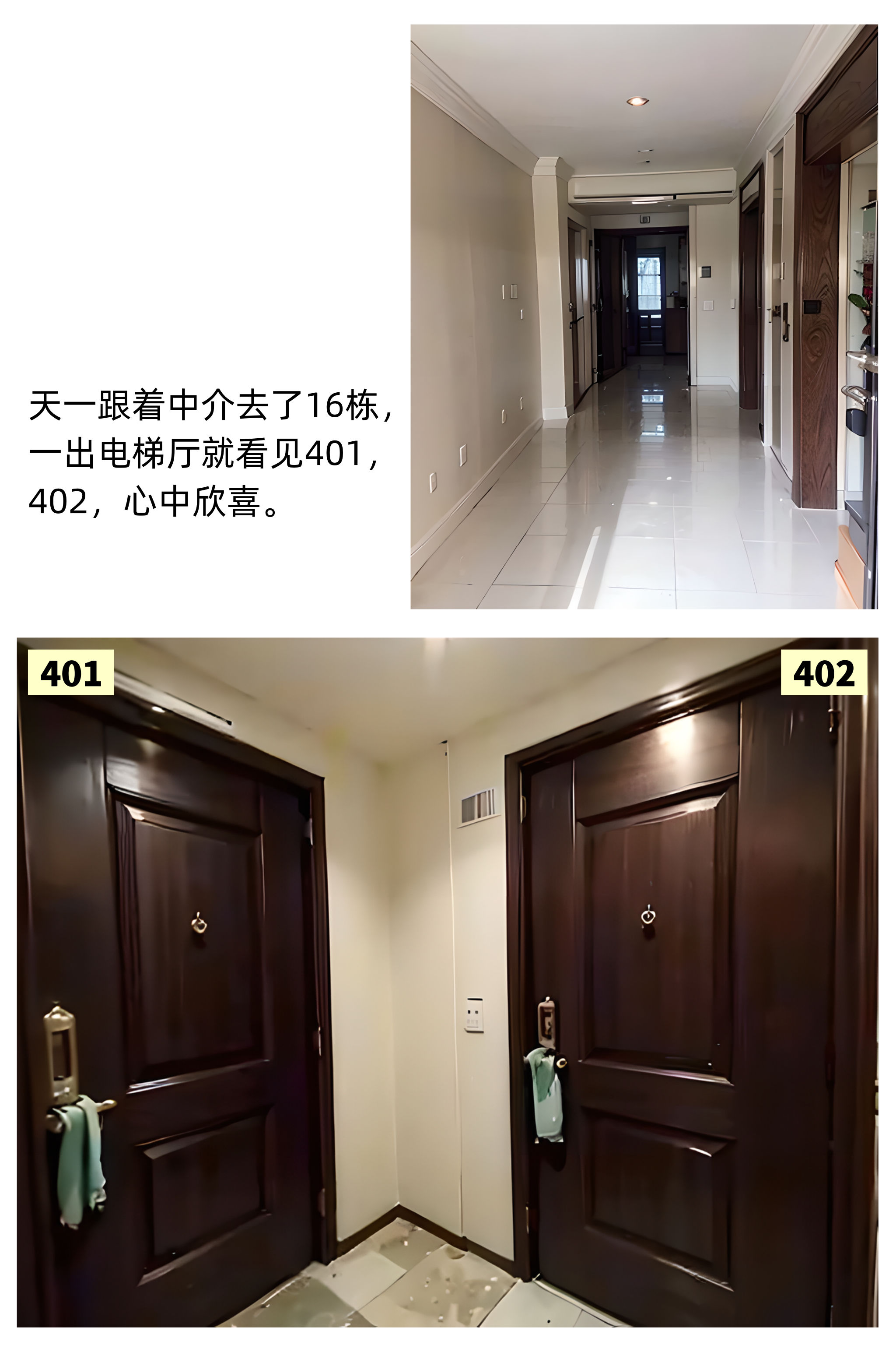 1786607623549.jpg