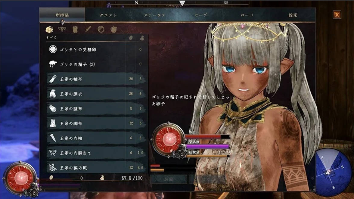 落日的姬骑士韦佩里特 (3).jpg